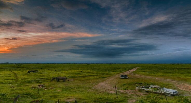 Manas National Park