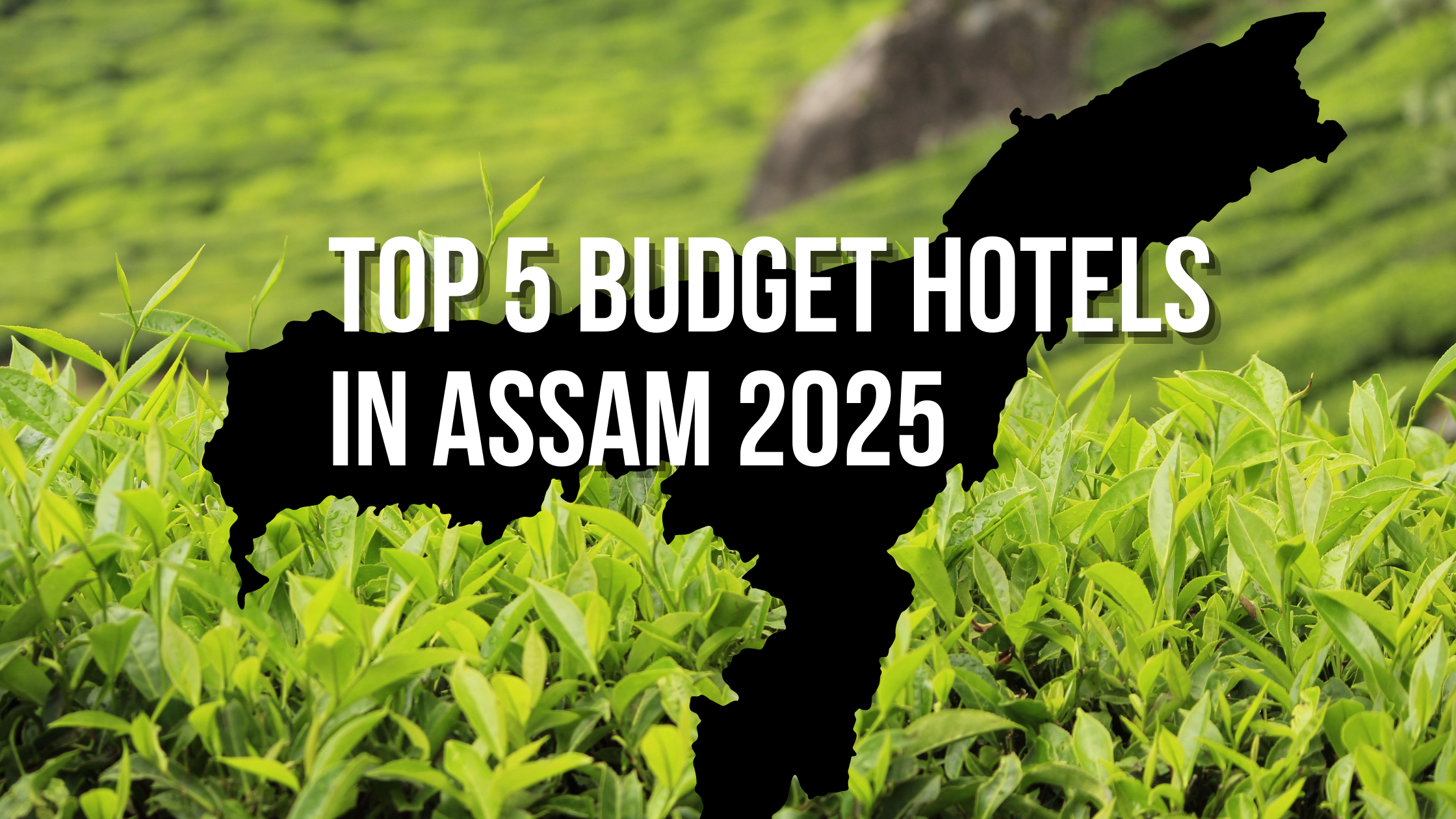 Top 5 Budget Hotels in Assam 2025