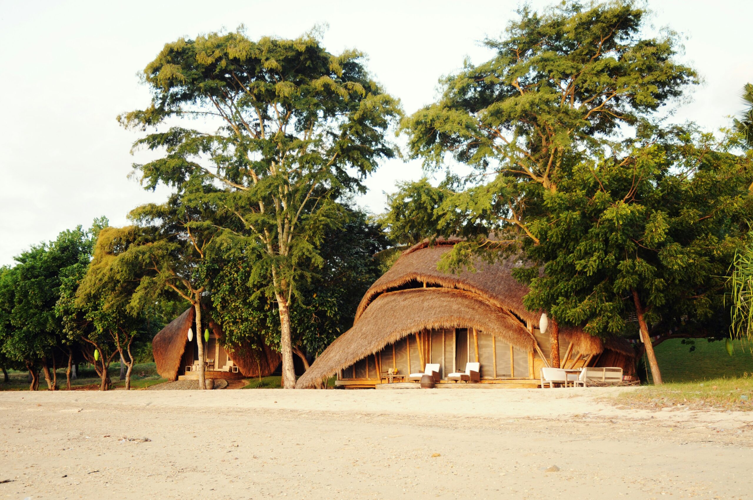 Majuli Island Cultural Tours